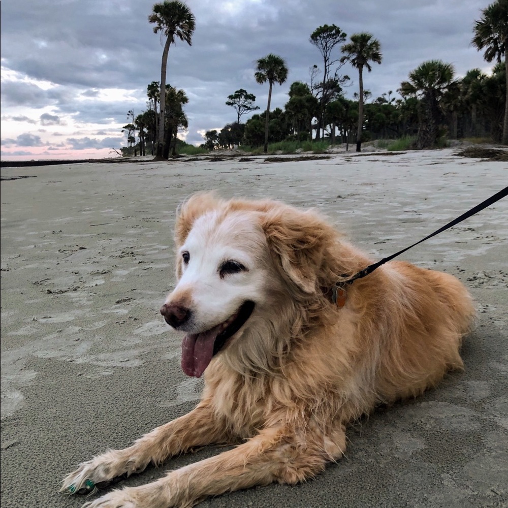 Meet your Posher, Cynthia